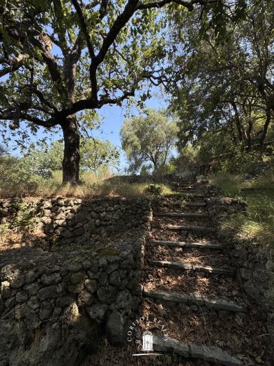 Image No.4-Plot for sale