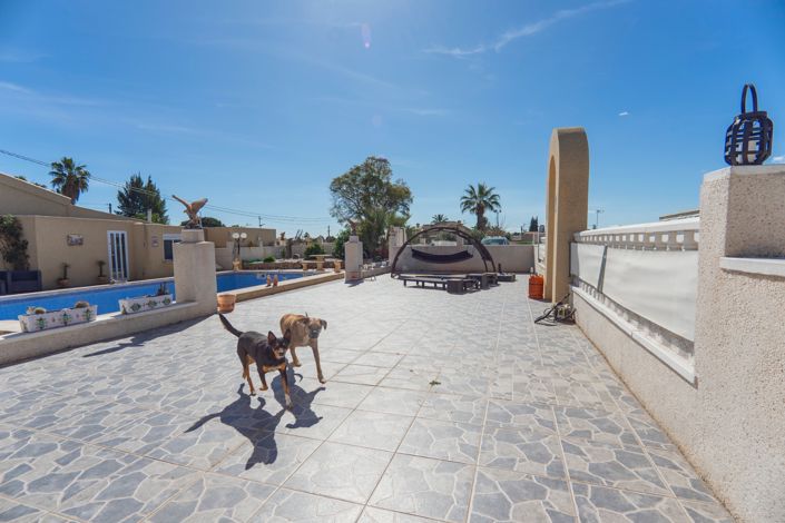 Image No.45-6 Bed Country Property for sale