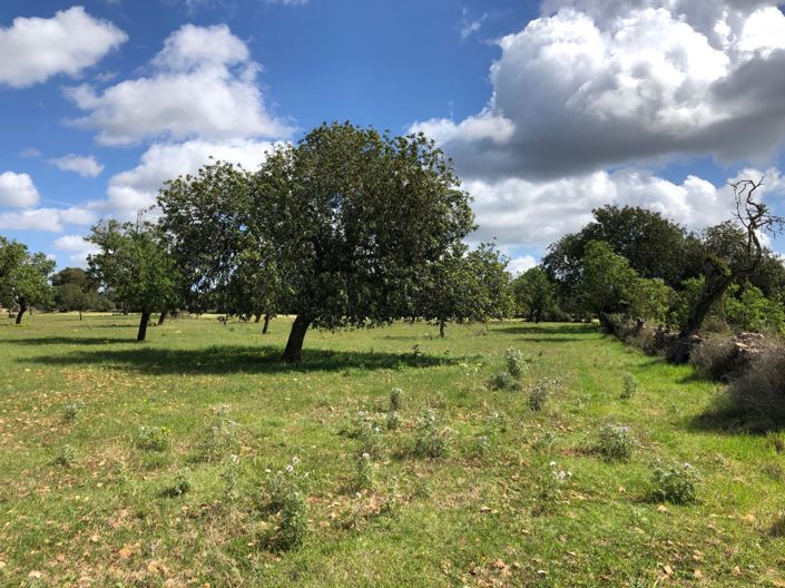 Image No.10-Property for sale