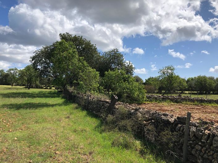 Image No.11-Property for sale