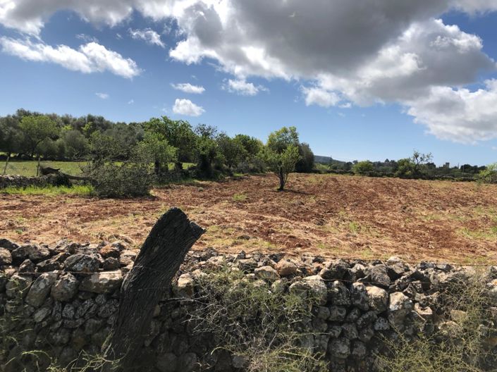 Image No.12-Property for sale