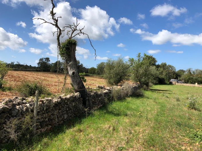 Image No.13-Property for sale