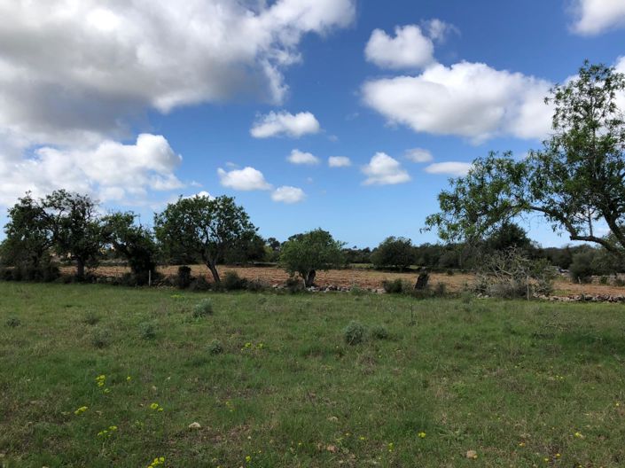 Image No.14-Property for sale