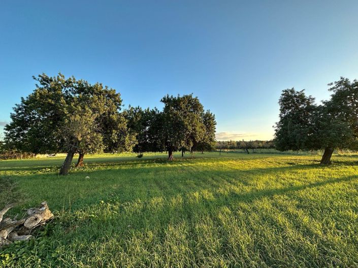 Image No.11-4 Bed Property for sale