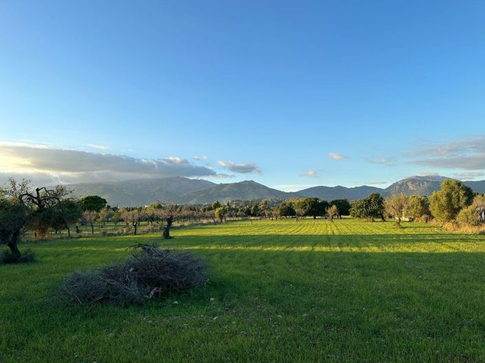 Image No.12-4 Bed Property for sale