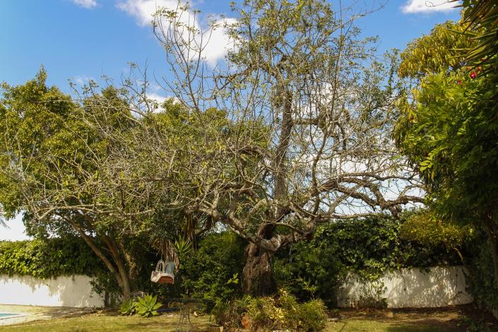 Image No.51-3 Bed Country House for sale