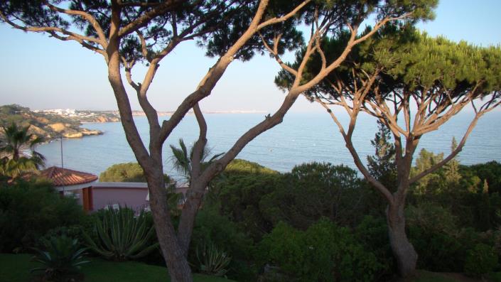 Image No.34-3 Bed House/Villa for sale