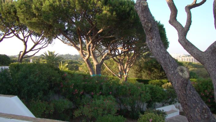 Image No.40-3 Bed House/Villa for sale