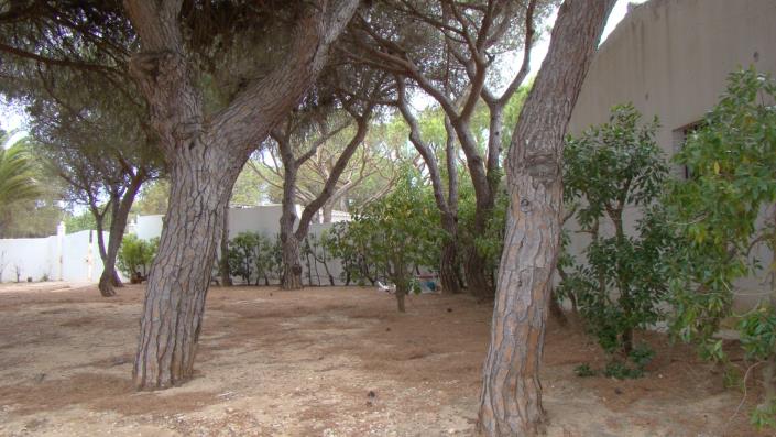 Image No.46-3 Bed House/Villa for sale