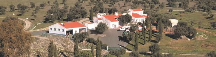 Image No.3-3 Bed Property for sale