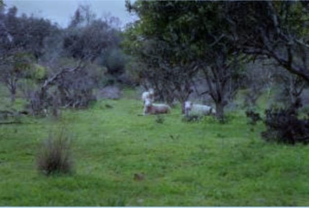 Image No.4-19 Bed Property for sale