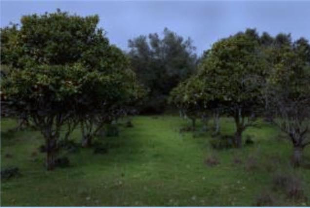 Image No.6-19 Bed Property for sale