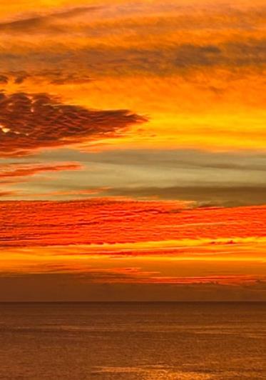 Image No.4-Land for sale