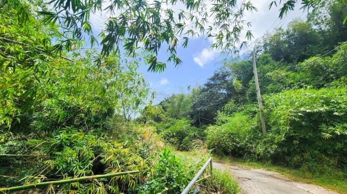 Image No.17-3 Bed House for sale