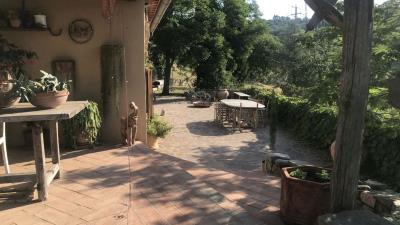 Dom-Tuscanary-Scansano