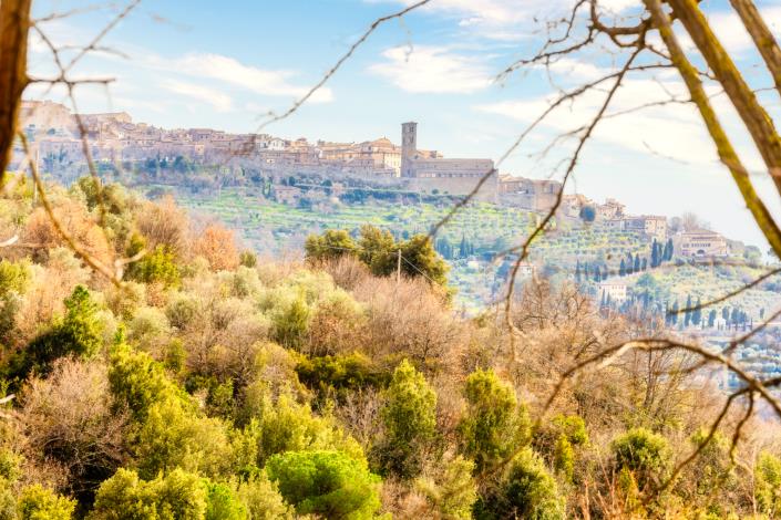 Image No.3-3 Bed Country House for sale