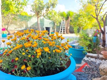 3 Bed House/Villa for sale