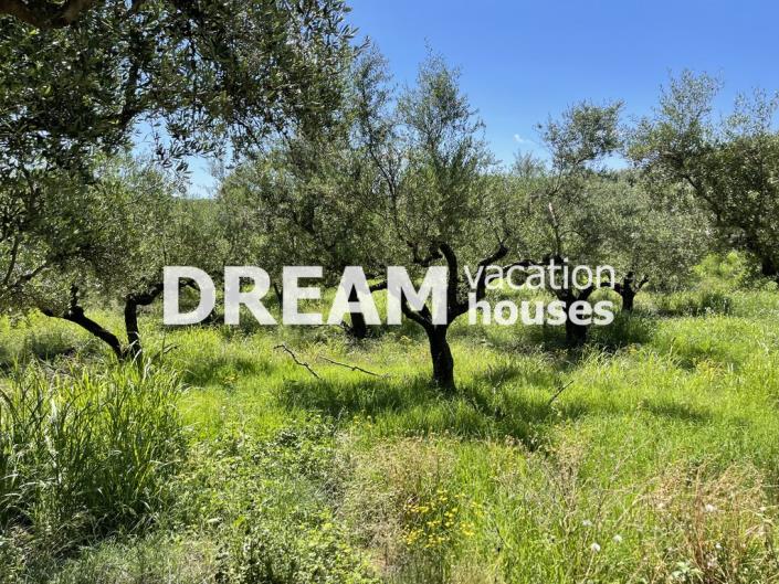 Image No.5-Plot for sale