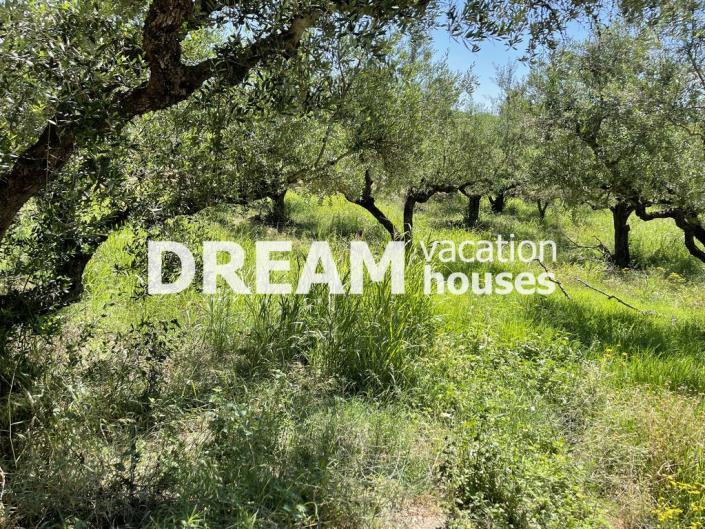 Image No.9-Plot for sale