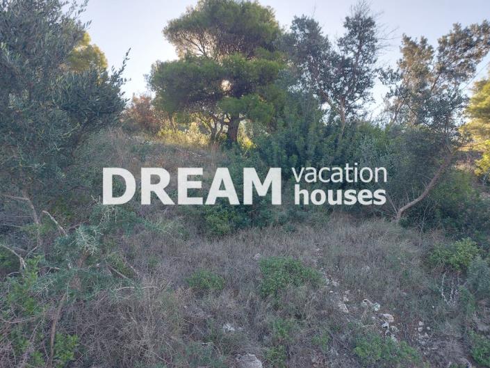 Image No.3-Plot for sale