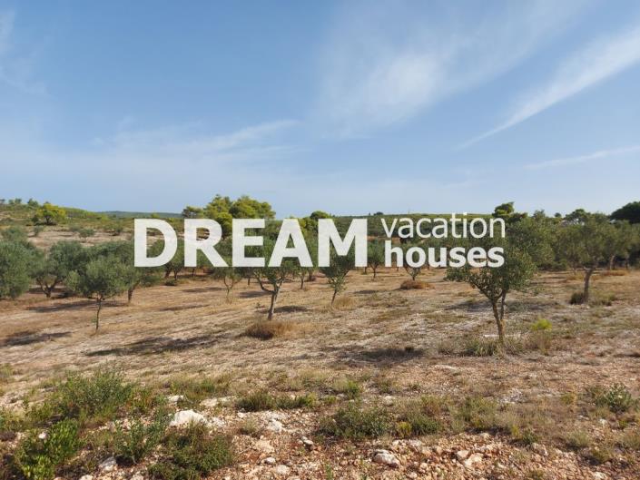 Image No.9-Plot for sale