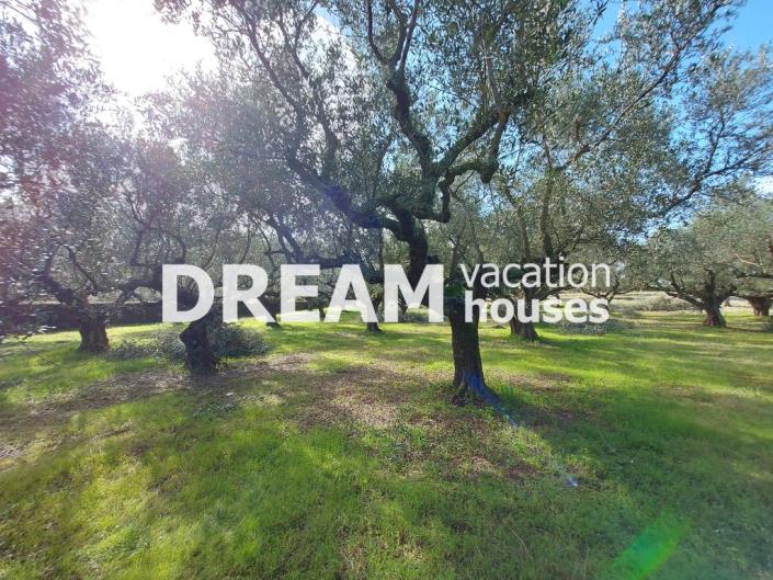 Image No.4-Plot for sale