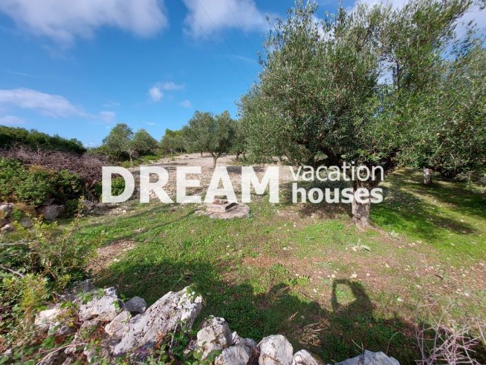 Image No.11-Plot for sale