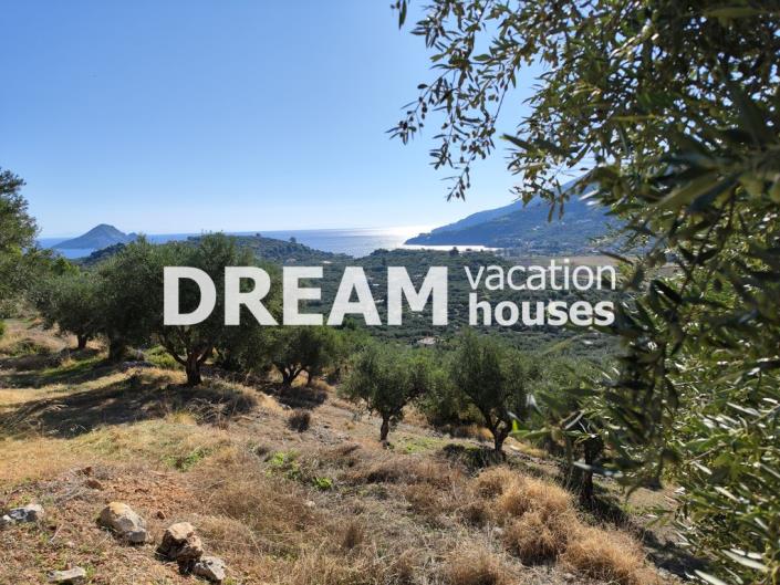 Image No.5-Plot for sale