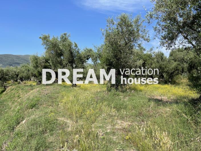 Image No.4-Plot for sale