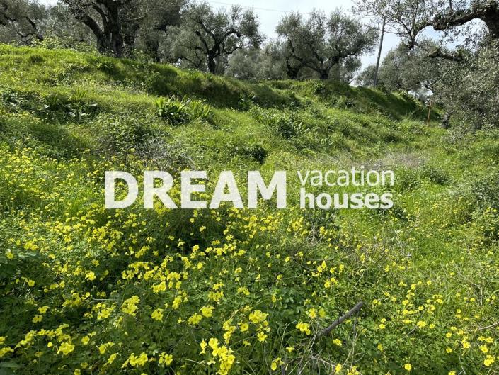 Image No.4-Plot for sale