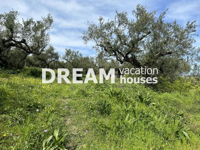 Image No.8-Plot for sale