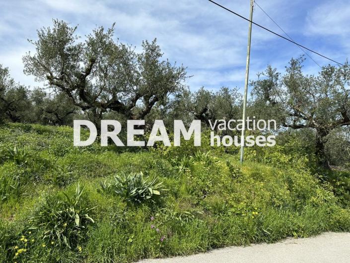 Image No.11-Plot for sale