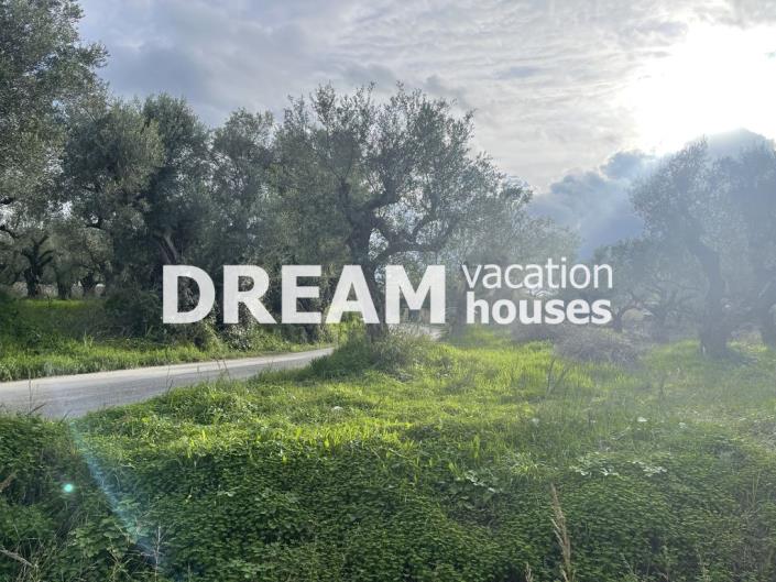 Image No.3-Plot for sale