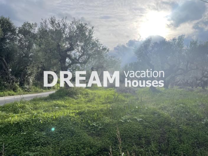 Image No.6-Plot for sale