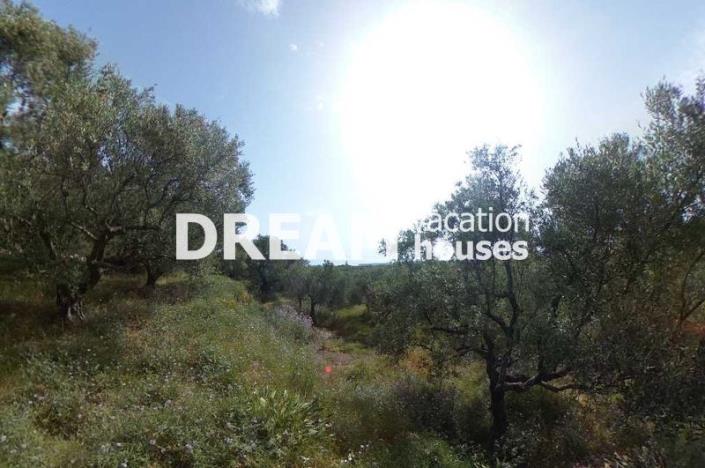 Image No.6-Plot for sale