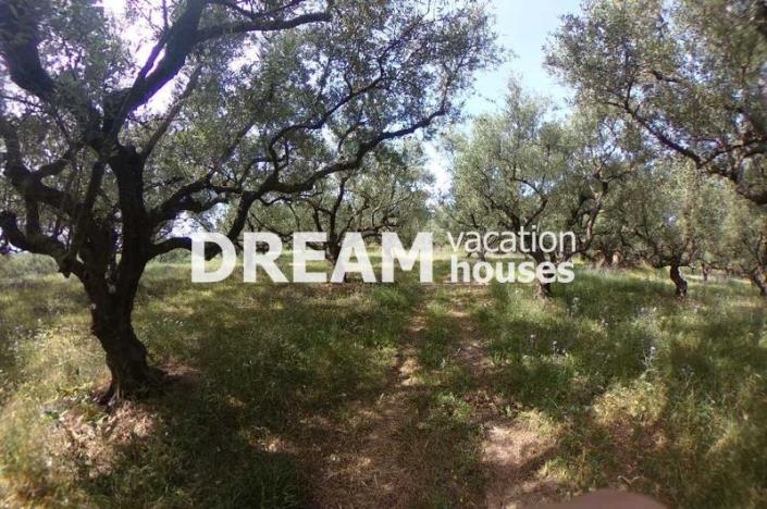 Image No.7-Plot for sale