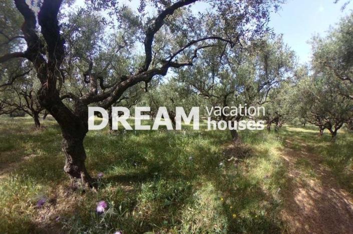 Image No.9-Plot for sale