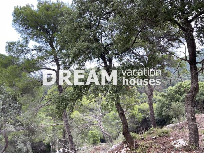 Image No.12-Plot for sale