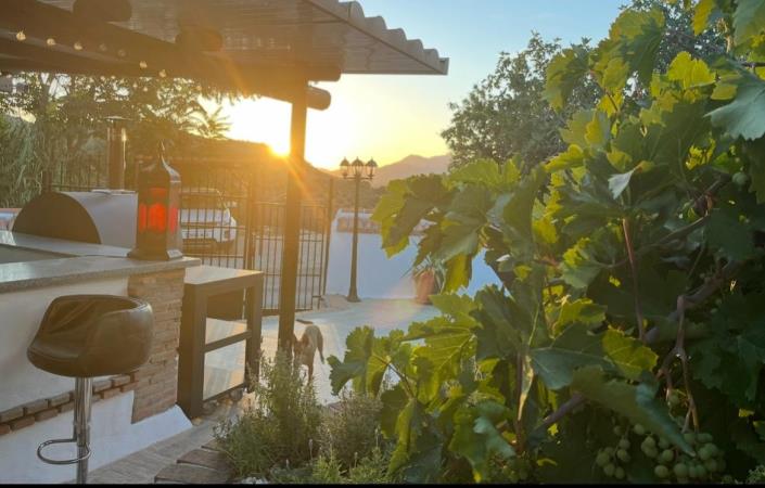 Image No.12-4 Bed Cortijo for sale