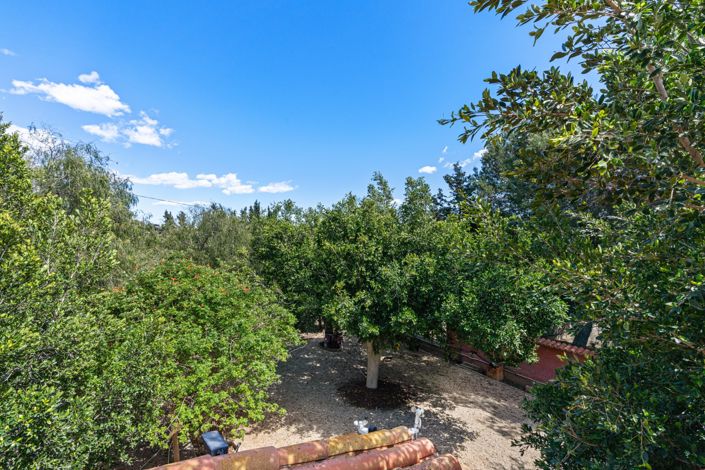 Image No.48-Villa de 8 chambres à vendre à L'Altet