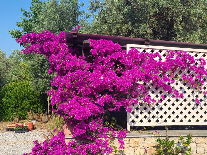 Image No.11-3 Bed House/Villa for sale