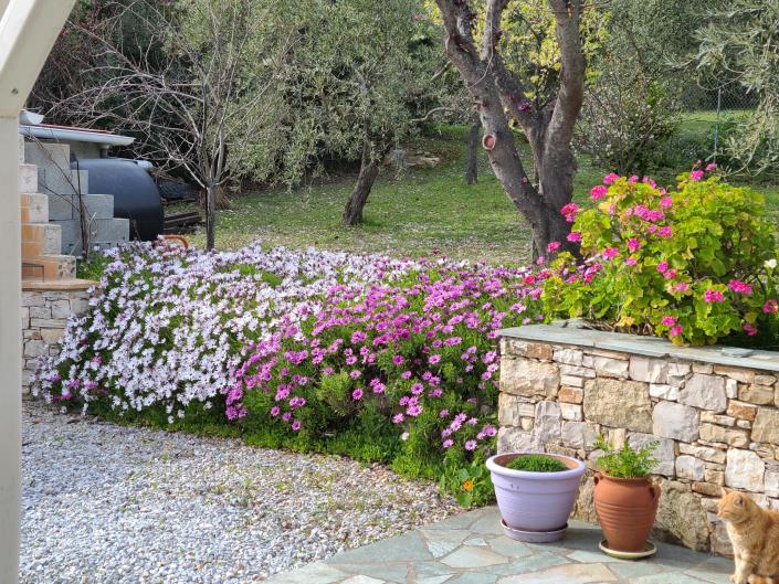 Image No.16-3 Bed House/Villa for sale