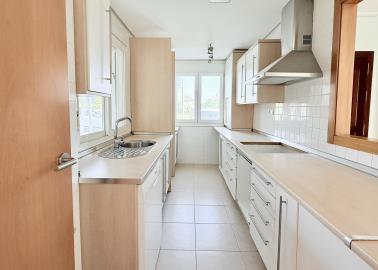 Photo-4-10-25--17-29-26