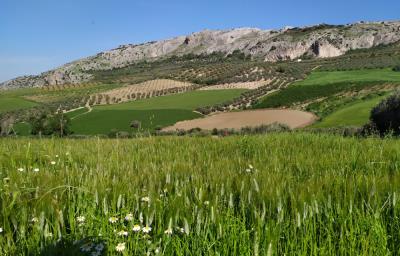 spanish-VILLAGE-business-for-sale