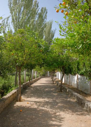 Image No.16-4 Bed Village House for sale