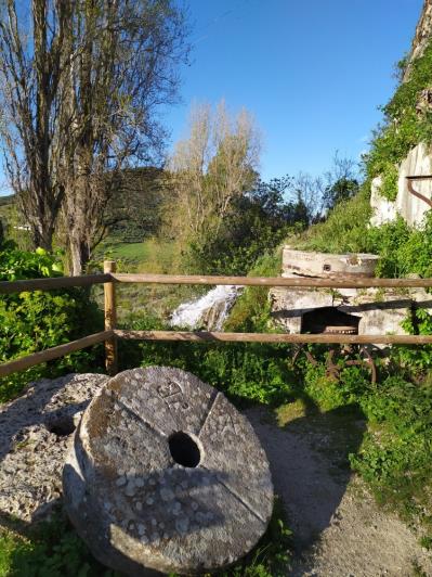 Image No.17-4 Bed Village House for sale