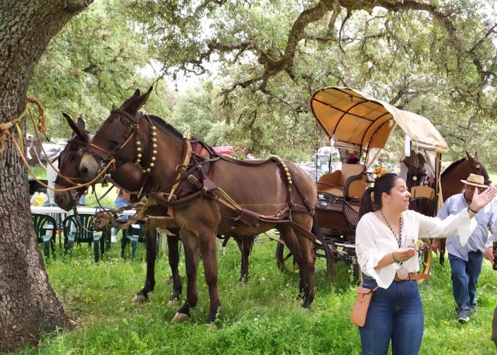 Image No.20-4 Bed Village House for sale