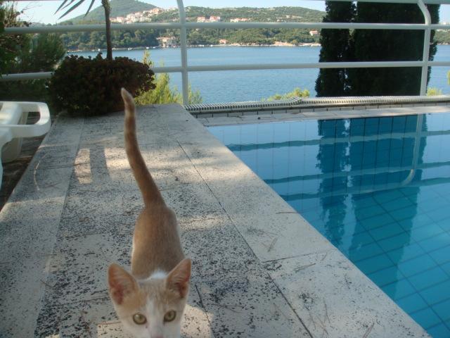 Image No.10-4 Bed Property for sale