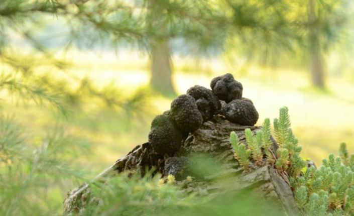 Image No.19-10 Bed Property for sale