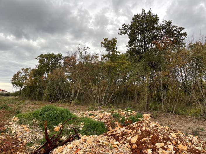 Image No.5-Property for sale